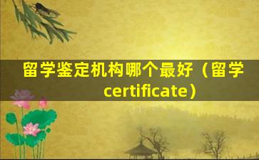 留学鉴定机构哪个最好（留学 certificate）